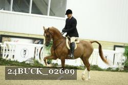 24BUCK_02609 thumbnail