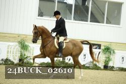 24BUCK_02610 thumbnail