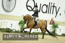24BUCK_02612 thumbnail