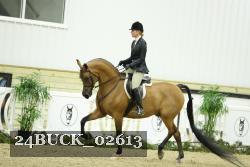 24BUCK_02613 thumbnail