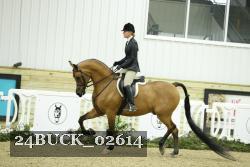 24BUCK_02614 thumbnail