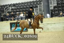 24BUCK_02619 thumbnail
