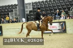 24BUCK_02620 thumbnail