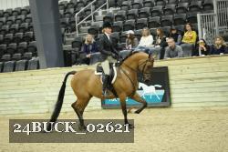24BUCK_02621 thumbnail