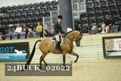 24BUCK_02622 thumbnail