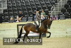 24BUCK_02623 thumbnail