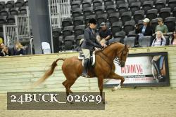 24BUCK_02629 thumbnail