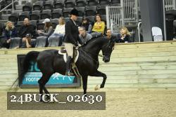 24BUCK_02630 thumbnail