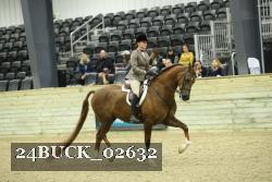 24BUCK_02632 thumbnail
