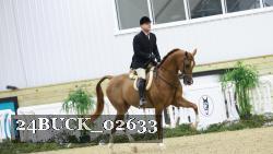 24BUCK_02633 thumbnail