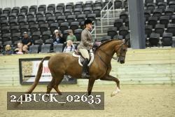 24BUCK_02635 thumbnail