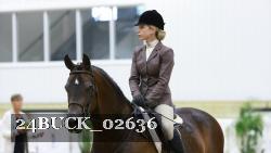 24BUCK_02636 thumbnail
