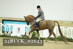 24BUCK_02643 thumbnail