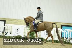 24BUCK_02645 thumbnail