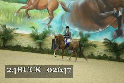 24BUCK_02647 thumbnail