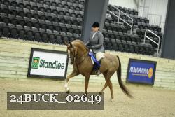 24BUCK_02649 thumbnail