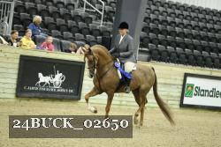 24BUCK_02650 thumbnail