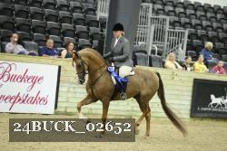 24BUCK_02652 thumbnail