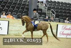 24BUCK_02653 thumbnail