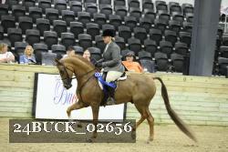 24BUCK_02656 thumbnail