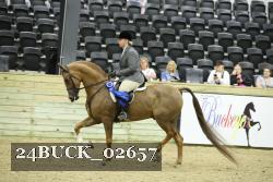 24BUCK_02657 thumbnail