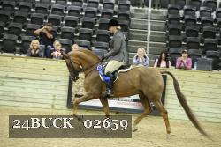24BUCK_02659 thumbnail