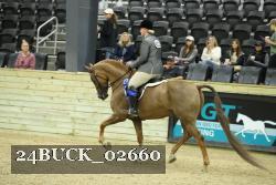 24BUCK_02660 thumbnail