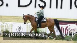 24BUCK_02663 thumbnail