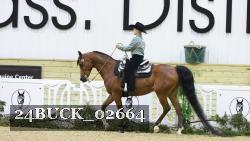 24BUCK_02664 thumbnail