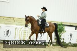 24BUCK_02665 thumbnail