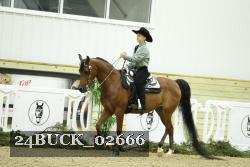24BUCK_02666 thumbnail