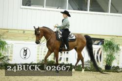24BUCK_02667 thumbnail