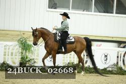 24BUCK_02668 thumbnail