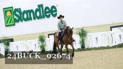 24BUCK_02674 thumbnail