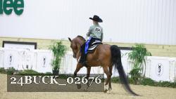 24BUCK_02676 thumbnail