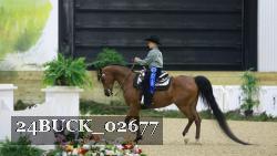 24BUCK_02677 thumbnail