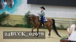 24BUCK_02678 thumbnail