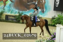 24BUCK_02679 thumbnail