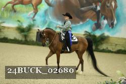 24BUCK_02680 thumbnail