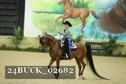 24BUCK_02682 thumbnail