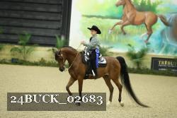 24BUCK_02683 thumbnail