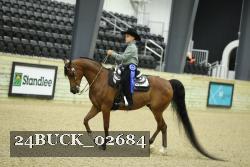 24BUCK_02684 thumbnail