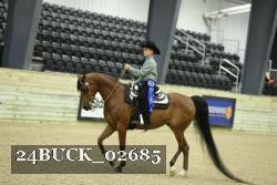 24BUCK_02685 thumbnail