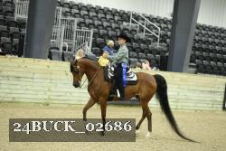 24BUCK_02686 thumbnail