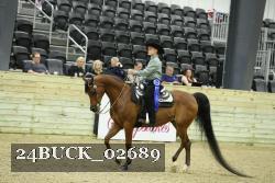 24BUCK_02689 thumbnail