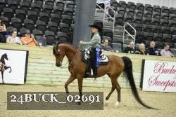 24BUCK_02691 thumbnail