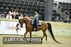 24BUCK_02693 thumbnail