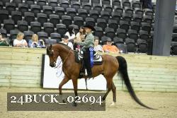 24BUCK_02694 thumbnail