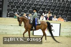 24BUCK_02695 thumbnail
