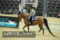24BUCK_02697 thumbnail